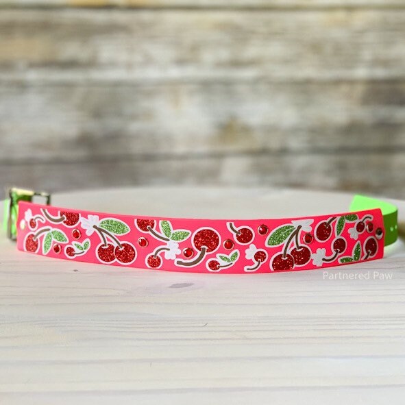 Cherry Bomb Wide Dog Collar