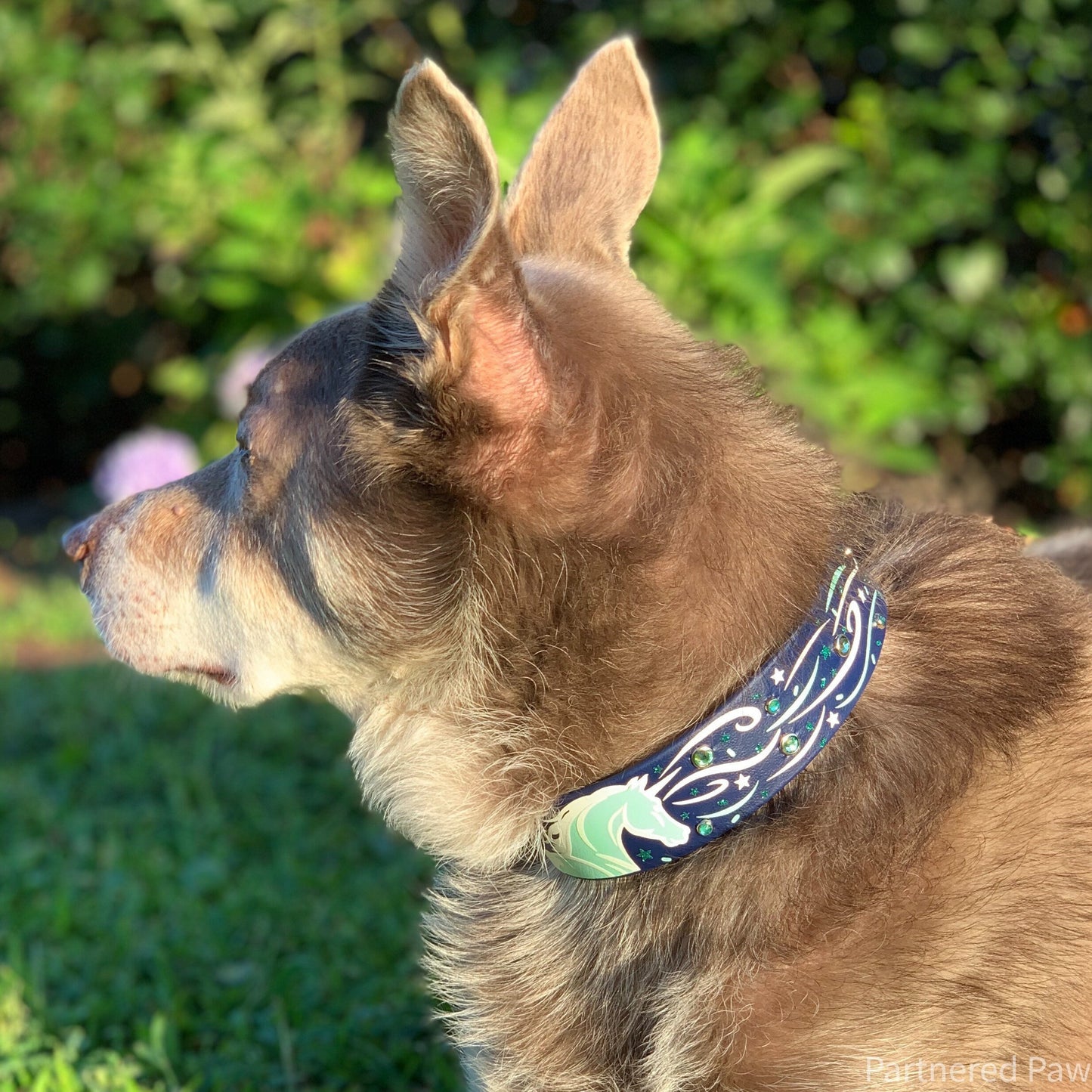 Glow Unicorn Wide Biothane Dog Collar