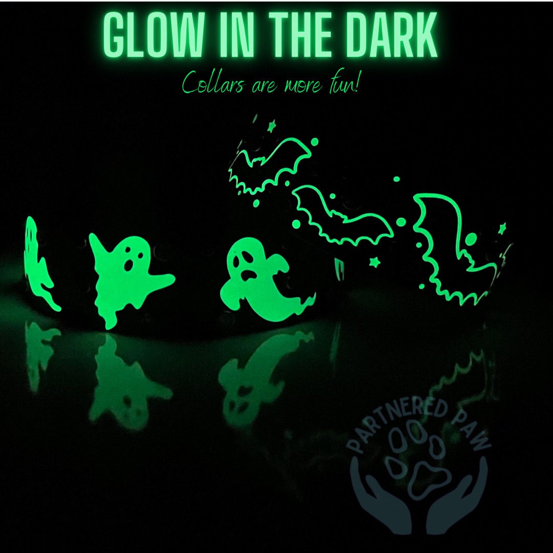 Spooky Ghost Glow in the Dark Wide Dog Collar