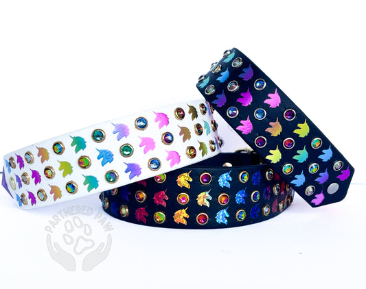 Unicorn Magic Board Wide Biothane Collar