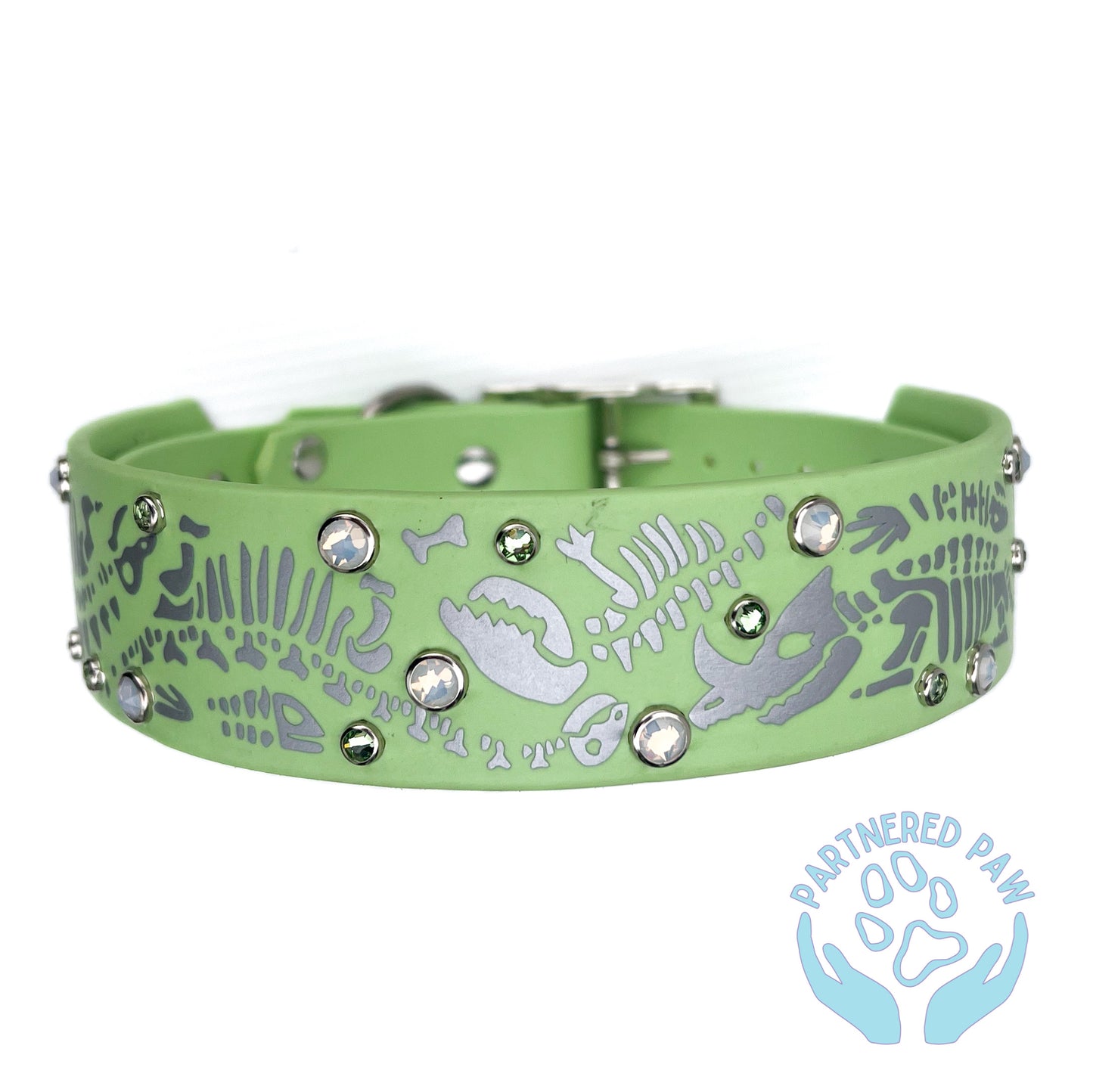 Dinosaur Dig 1.5" Collar