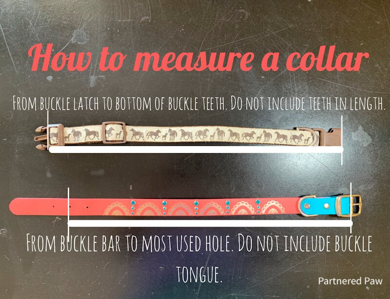 Vintage Snowflake Wide Biothane Dog Collar