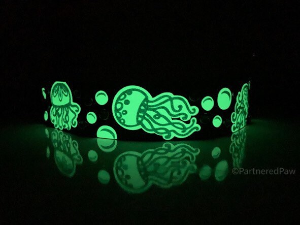 Jelly Fish Glow in the Dark 1.5" Collar