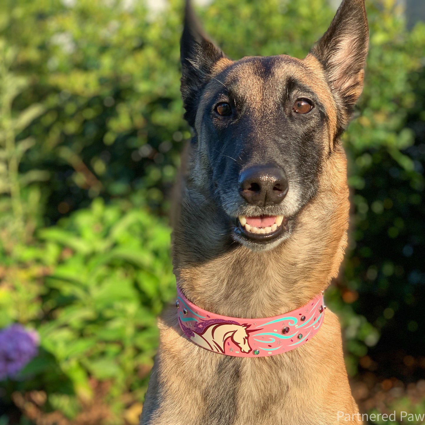 Unicorn Crystal 1.5" Dog Collar