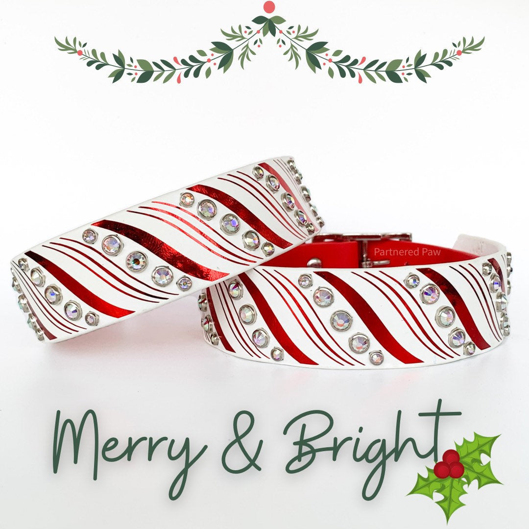 Candy Cane 1.5" Wide Biothane Dog Collar