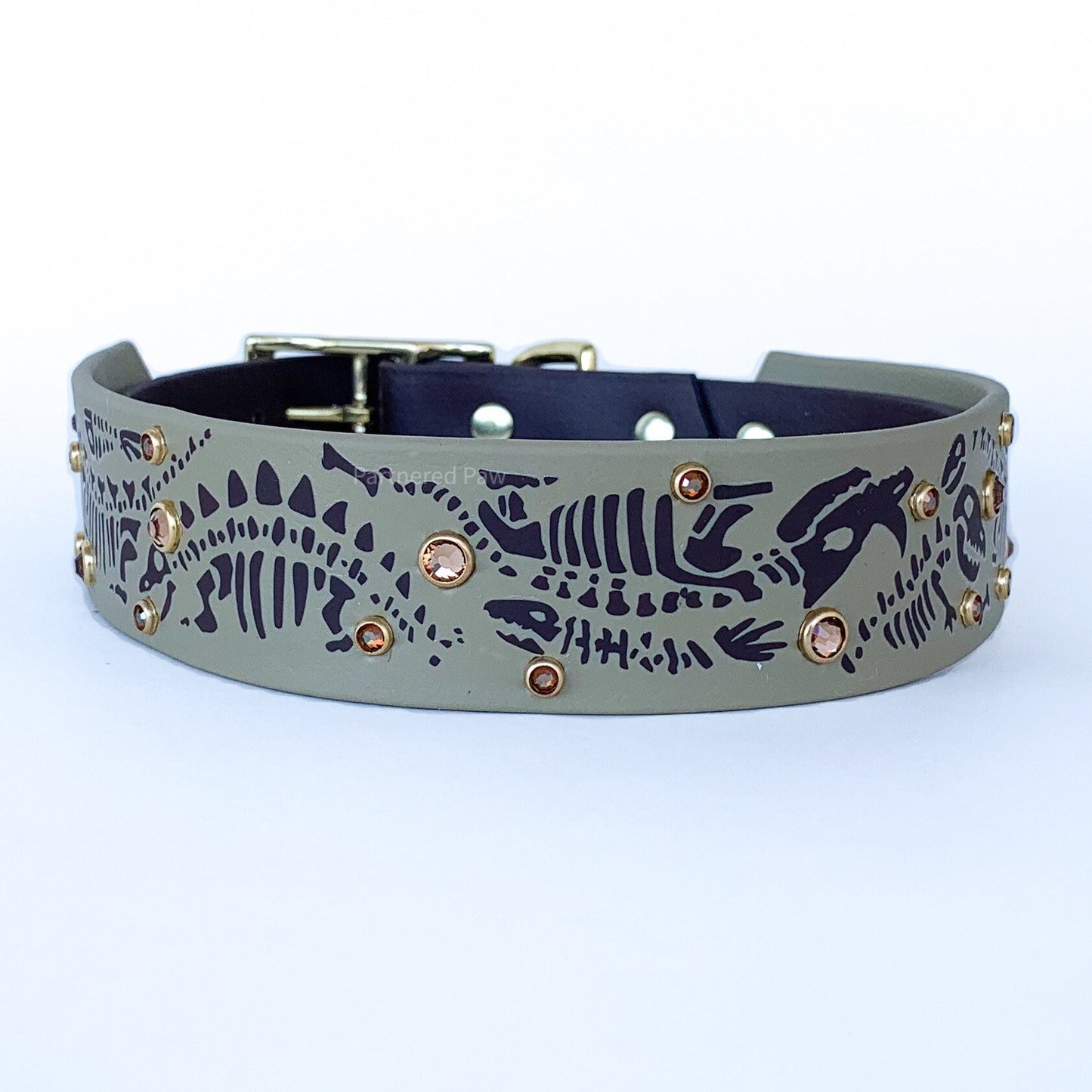 Dinosaur Dig 1.5" Collar