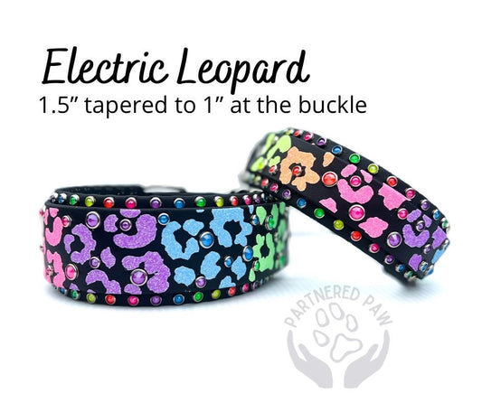 Neon Electric Leopard 1.5" Dog Collar